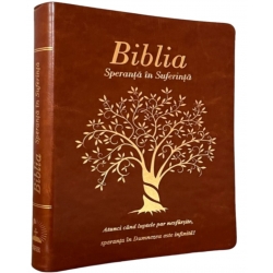 Biblia „Speranță în suferință”